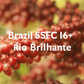 Brazil - Cerrado Mineiro, Minas Gerais