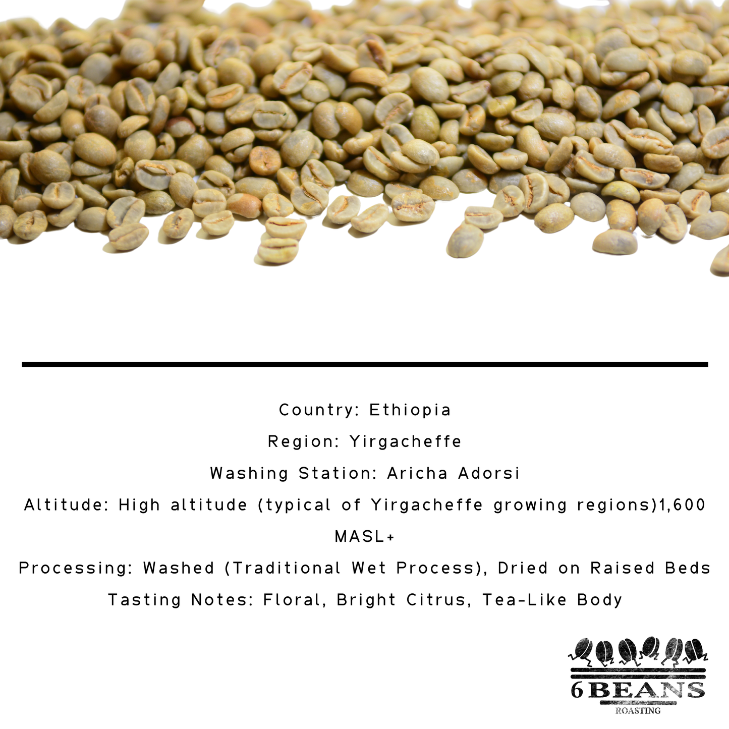 Green - Ethiopian Yirgacheffe